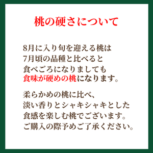 フルーツ詰合せ（松）
　マスクメロンと旬の果物お詰め合わせ