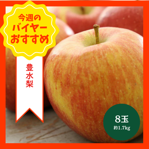 【9/6からおすすめ商品】サンつがる　8玉(約1.7kg)　山形県産他