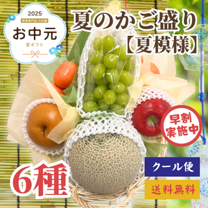 【早割】6種夏のかご盛り【夏模様】〈お中元〉