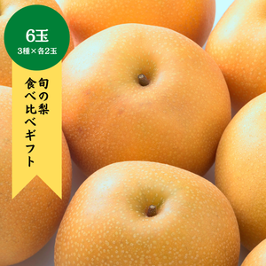 〈ギフト〉3種の梨食べ比べギフト　6玉セット