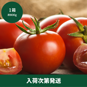 静岡県夢咲産
待ってたフルーツトマト
1箱（約800g）【入荷次第の発送】