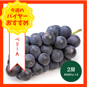 【8/30からおすすめ商品】ベリーA　2房(約400g×2)　山梨県産