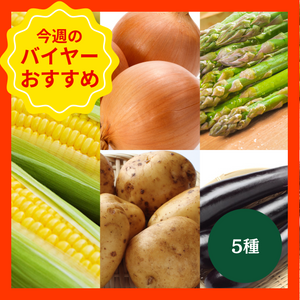 【4/26からおすすめ商品】BBQセット