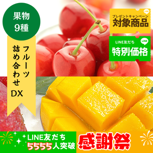 【LINE友だち限定】フルーツ詰合せ DX〈LINE感謝祭〉