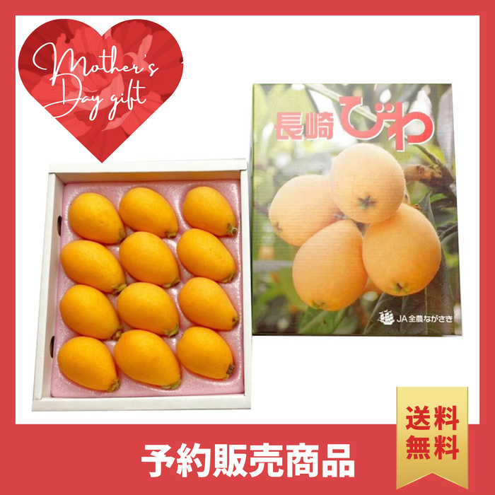 〈母の日ギフト〉
長崎県他びわのギフト（Lサイズ、1箱化粧箱）【旬果】