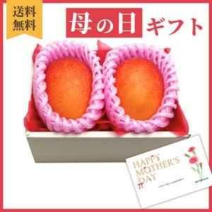 〈母の日ギフト〉
【Lサイズ】宮崎県産完熟マンゴーのギフト（2玉詰め）