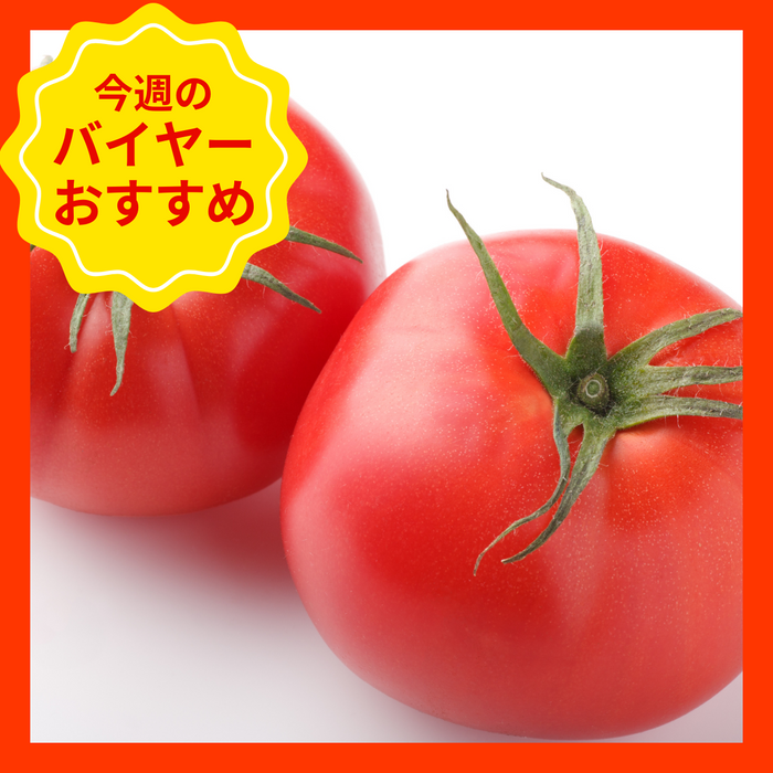 【5/11からおすすめ商品】トマト　Mサイズ　1個
熊本県産他