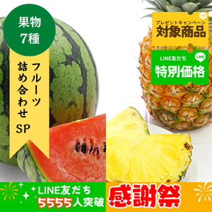 【LINE友だち限定】フルーツ詰合せ SP〈LINE感謝祭〉
