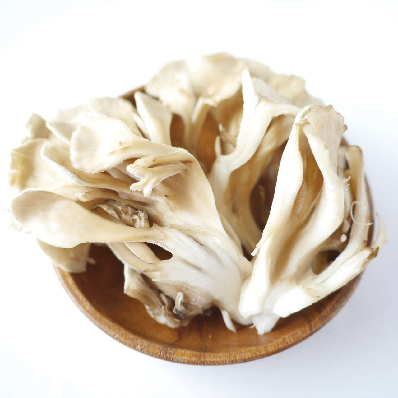 新潟県産他雪国白舞茸1パック(約100g) – 九州屋plus+