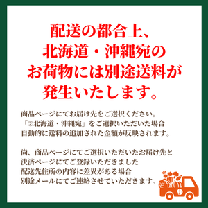 【早割】〈産地直送〉宮崎県都城市産 近間さんが作った朝穫れ「味来（みらい）コーン」 約5㎏（13～15本入り）