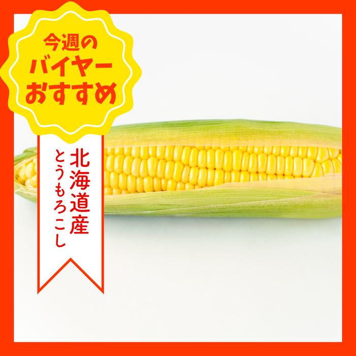 【8/2からおすすめ商品】とうもろこし　2Lサイズ　1本　北海道産