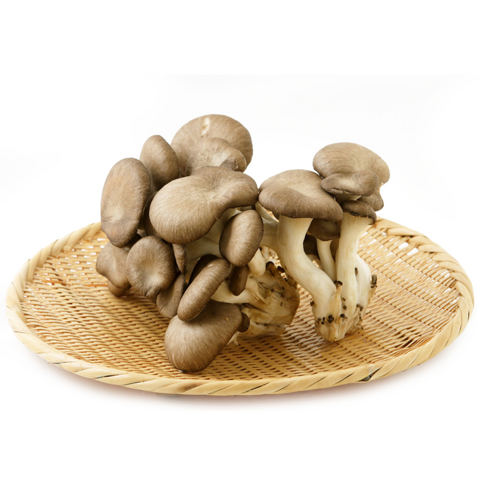 長野県産他霜降ひらたけ1パック(約100g)