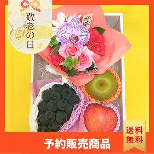 〈ギフト〉【だるま】秋のフルーツと花のギフト〈敬老の日〉