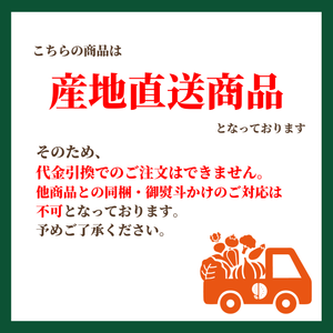 とうもろこし 5色10本セット
（ドルチェドリーム・ゴールドラッシュ・ホイップコーン・ロイシーコーン・大和ルージュ　各2本）北海道剣淵町産【産地直送】