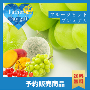 父の日フルーツセットプレミアム〈父の日ギフト〉