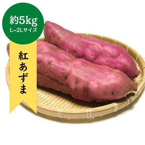 千葉県産他
紅あずま　約5kg(L～2Lサイズ)