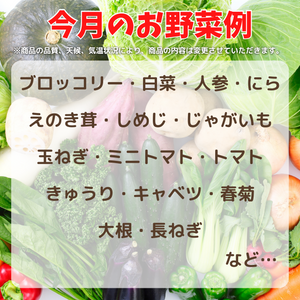 バイヤーおすすめ野菜セット
大田市場直送。厳選15品。