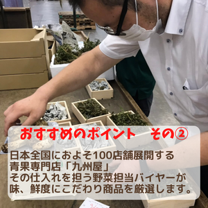 バイヤーおすすめ野菜セット
大田市場直送。厳選15品。