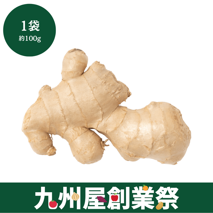 ＜九州屋創業祭＞高知県産他　生姜　1パック（約100g）