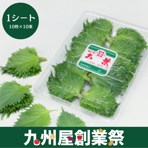 ＜九州屋創業祭＞愛知県産他　大葉　1パック（10枚×10束）