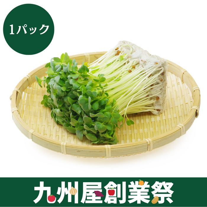 ＜九州屋創業祭＞神奈川県産他　かいわれ　1パック