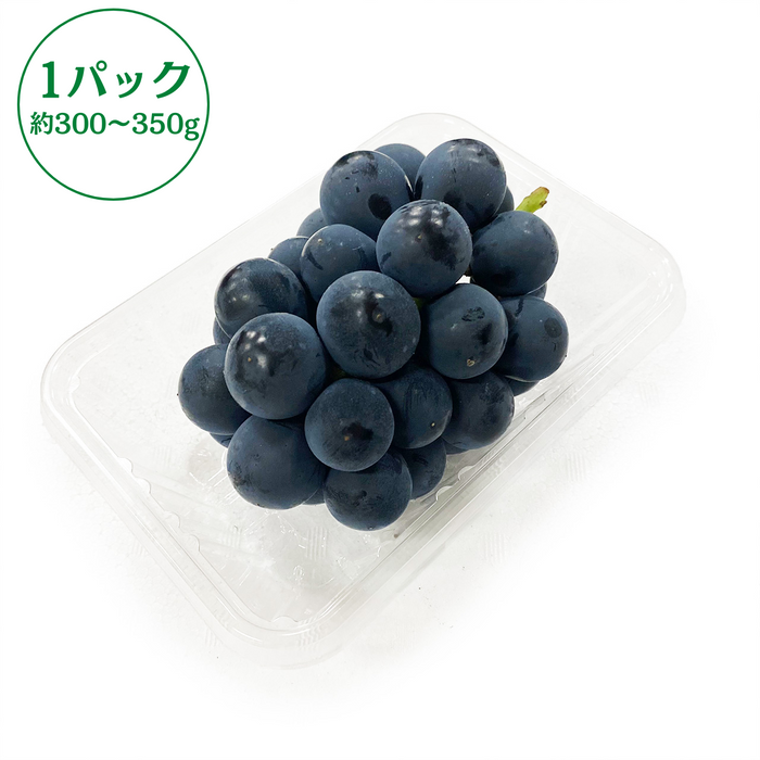 山梨県産他
種なし巨峰
1パック
約300～350g