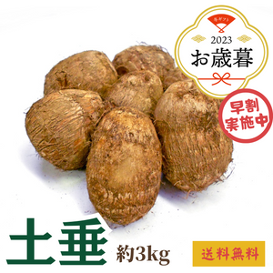 【早割】〈お歳暮〉
埼玉県産 
土垂里芋のギフト 
1箱（約3kg）