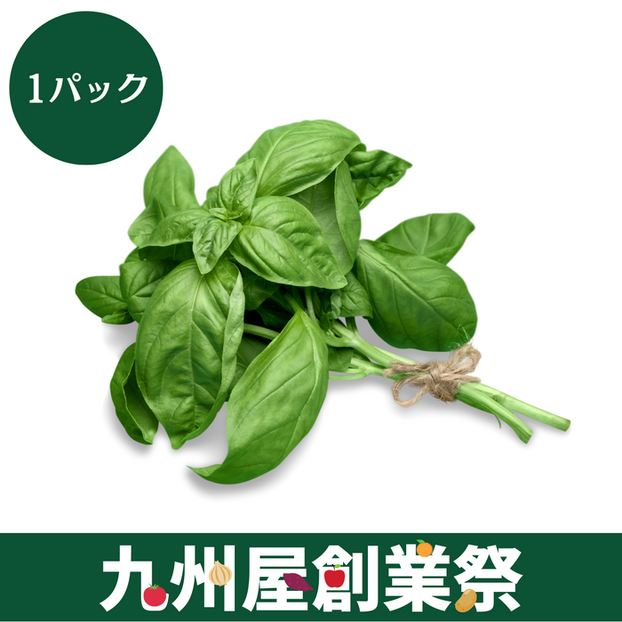 ＜九州屋創業祭＞愛知県産他　バジル　1パック