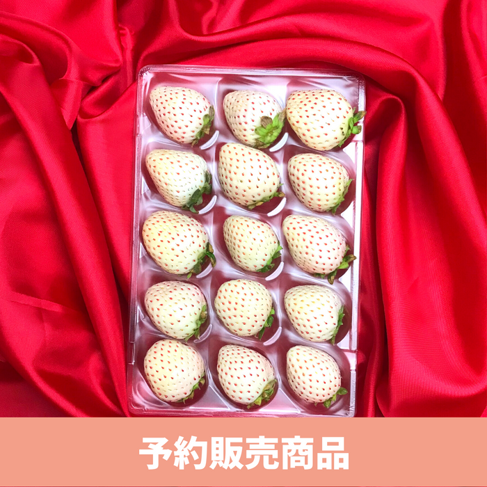 〈ギフト〉
奈良県産 
白苺 
1パック 約250g【予約販売】