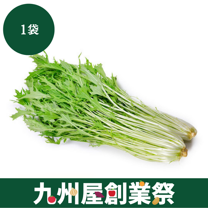 ＜九州屋創業祭＞茨城県産他　水菜　1袋