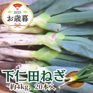 〈お歳暮〉
群馬県産 
下仁田ねぎ 
産地箱1箱（約4kg、20本入り）