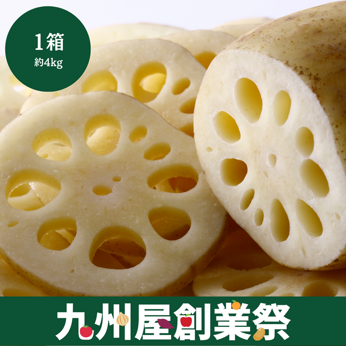 ＜九州屋創業祭＞■箱でお買い得■
茨城県産他　れんこん　1箱（約4kg）