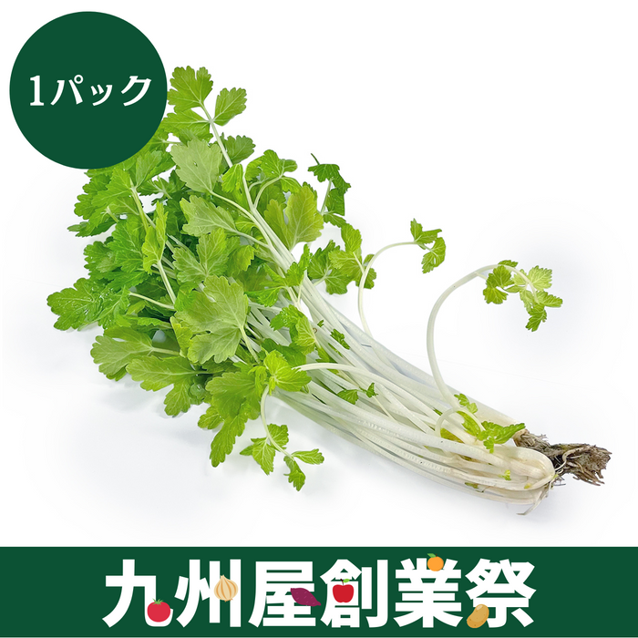 ＜九州屋創業祭＞静岡県産他　糸みつば　1パック