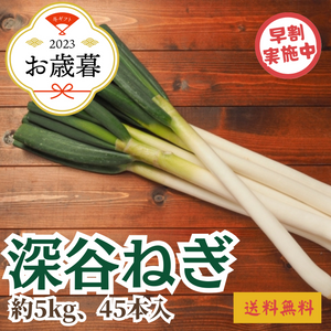 【早割】〈お歳暮〉
埼玉県産 
深谷ねぎ 
産地箱1箱（約5kg、45本入り）