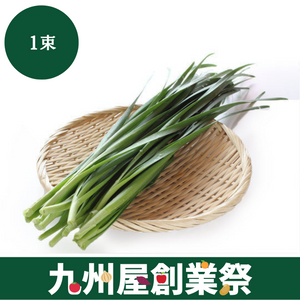 ＜九州屋創業祭＞茨城県産他　にら　1束