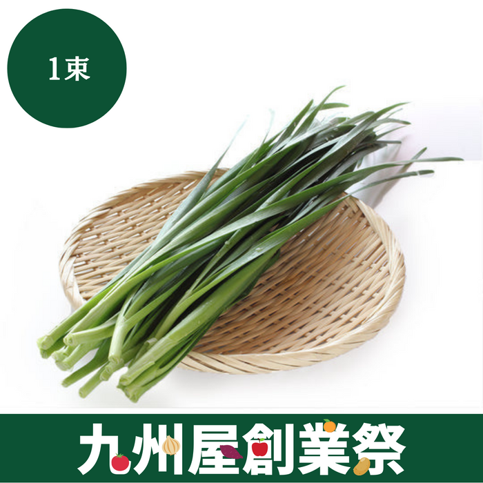 ＜九州屋創業祭＞茨城県産他　にら　1束