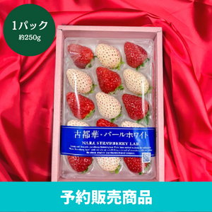 〈ギフト〉
奈良県産 紅白いちご
(古都華・白いちご)
1パック（約250g）