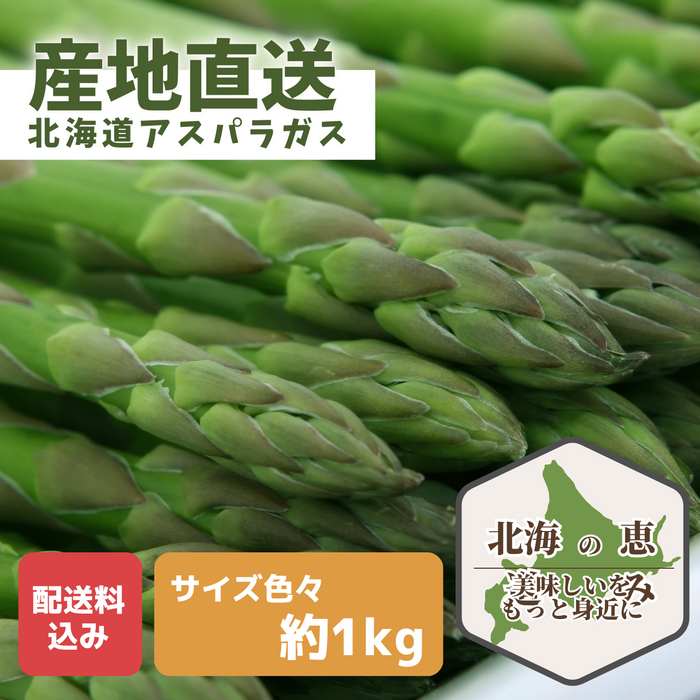 〈産地直送〉
北海道産グリーンアスパラガスギフト 
サイズいろいろ 約1kg【予約販売】