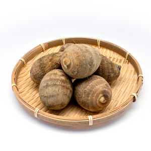 【早割】〈お歳暮〉
新潟県産 
帛乙女里芋のギフト 
1箱（約2.5kg）