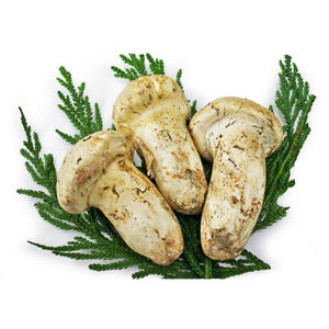 ＜九州屋創業祭＞カナダ他　輸入松茸　約200g