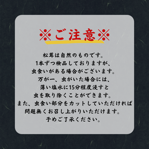 ＜九州屋創業祭＞カナダ他　輸入松茸　約200g