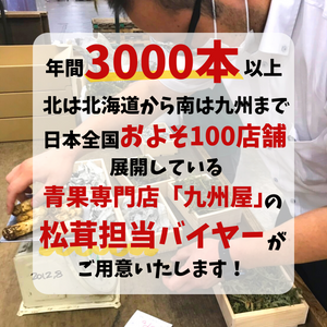 ＜九州屋創業祭＞カナダ他　輸入松茸　約200g
