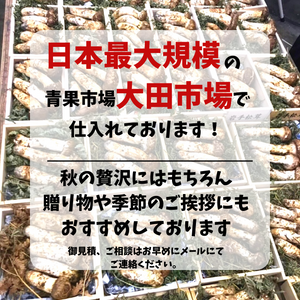 ＜九州屋創業祭＞カナダ他　輸入松茸　約200g