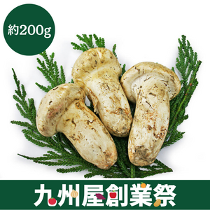 ＜九州屋創業祭＞カナダ他　輸入松茸　約200g