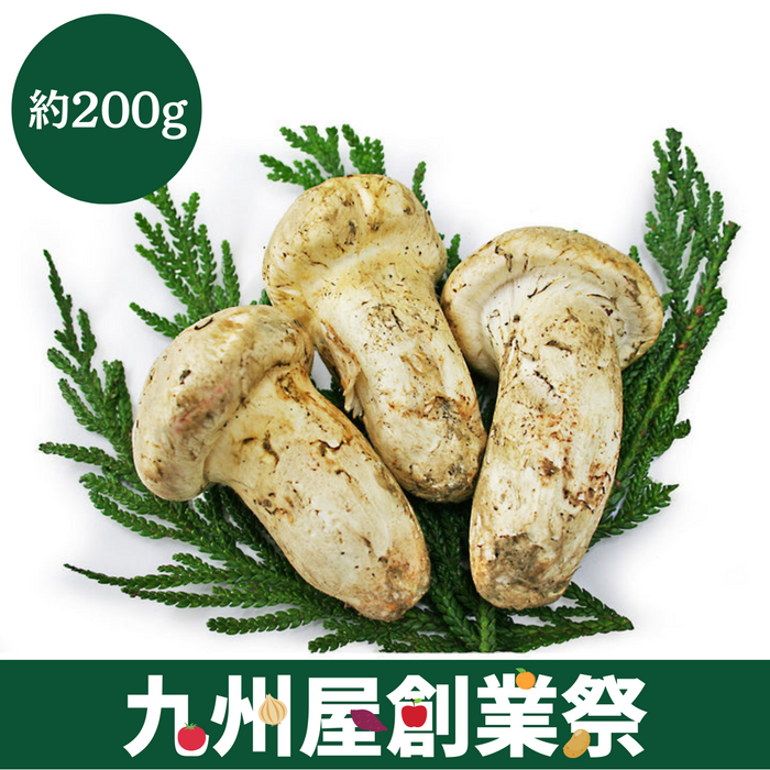 ＜九州屋創業祭＞カナダ他　輸入松茸　約200g