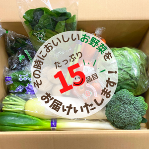 バイヤーおすすめ野菜セット
大田市場直送。厳選15品。