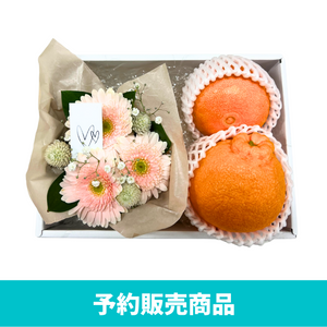〈ギフト〉
【ポルックス】国産柑橘2種のギフト【予約販売】