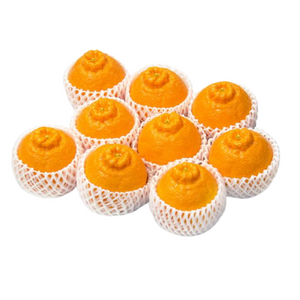 【早割】〈お歳暮〉
佐賀県産他 
デコポン
（約3kg、8～9個）