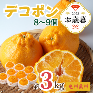 〈お歳暮〉
佐賀県産他 
デコポン
（約3kg、8～9個）