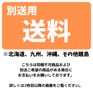 送料（北海道、沖縄、九州、その他離島）